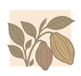 Brazilian Decaf - Church
