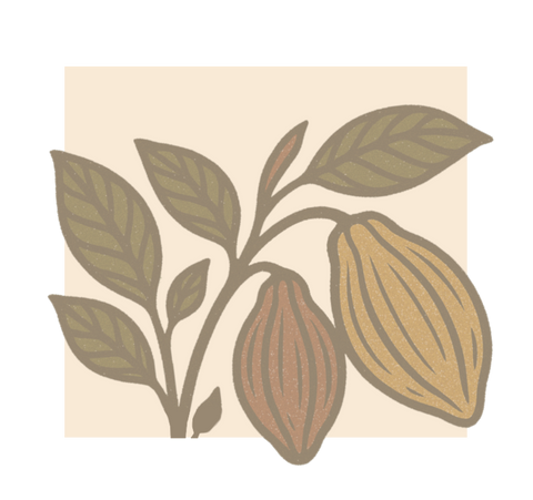 Brazilian Decaf - Church